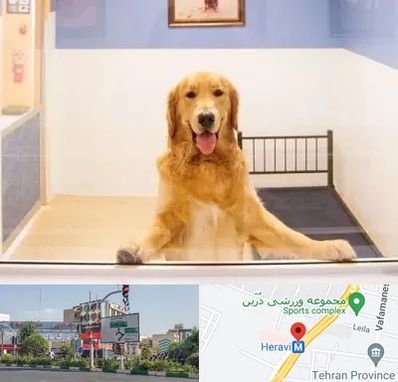 پانسیون حیوان خانگی در هروی 