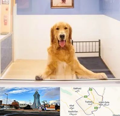 پانسیون حیوان خانگی در تایباد