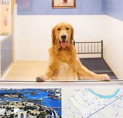 پانسیون حیوان خانگی در کوروش اهواز