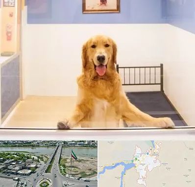 پانسیون حیوان خانگی در میاندوآب