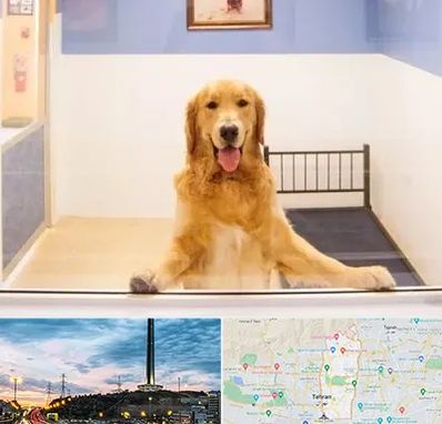 پانسیون حیوان خانگی در منطقه 2 تهران 