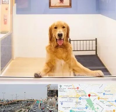 پانسیون حیوان خانگی در بلوار توس مشهد