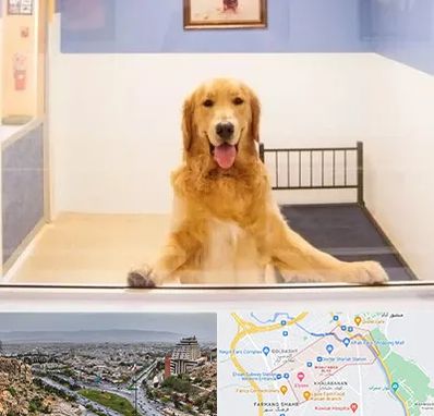 پانسیون حیوان خانگی در معالی آباد شیراز