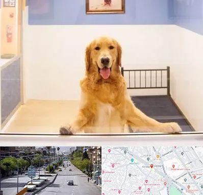 پانسیون حیوان خانگی در خیابان زند شیراز