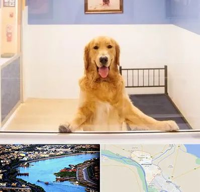 پانسیون حیوان خانگی در خرمشهر