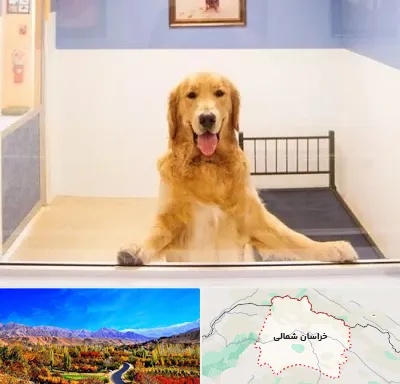 پانسیون حیوان خانگی در خراسان شمالی