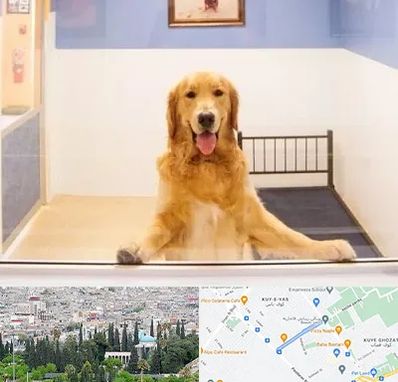 پانسیون حیوان خانگی در محلاتی شیراز