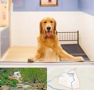 پانسیون حیوان خانگی در کردان