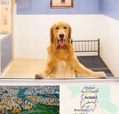 پانسیون حیوان خانگی در اردبیل