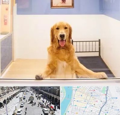 پانسیون حیوان خانگی در نادری اهواز