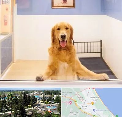 پانسیون حیوان خانگی در رودسر