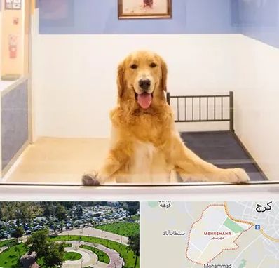 پانسیون حیوان خانگی در مهرشهر کرج 