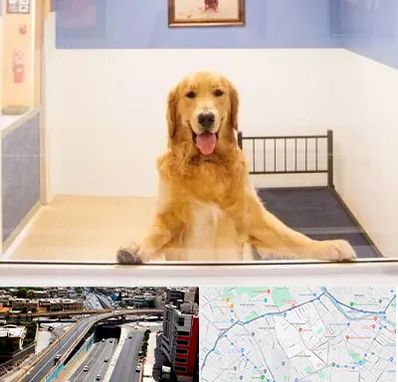 پانسیون حیوان خانگی در ستارخان شیراز