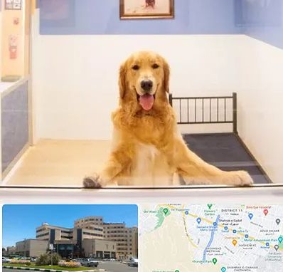 پانسیون حیوان خانگی در صیاد شیرازی مشهد