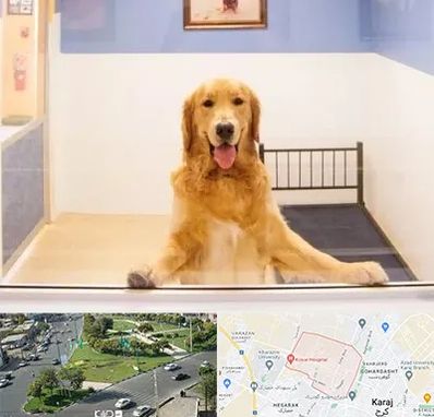 پانسیون حیوان خانگی در شاهین ویلا کرج