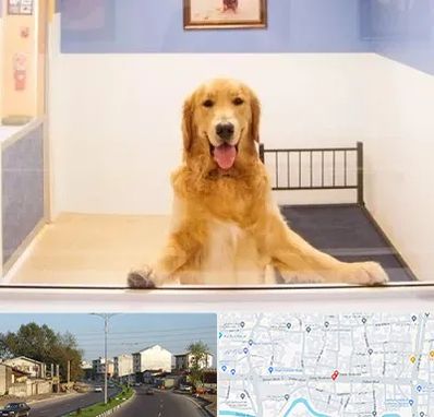 پانسیون حیوان خانگی در ضیابری رشت