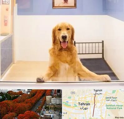 پانسیون حیوان خانگی در ولیعصر 