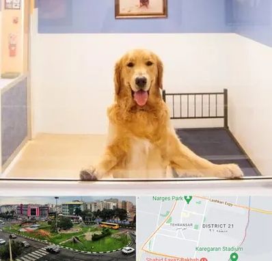 پانسیون حیوان خانگی در تهرانسر 