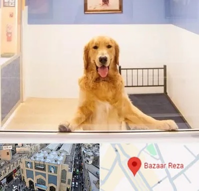 پانسیون حیوان خانگی در بازار رضا مشهد