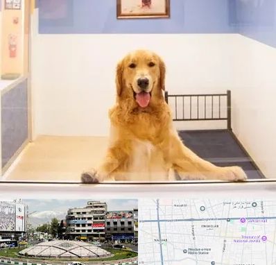 پانسیون حیوان خانگی در مرکز تهران