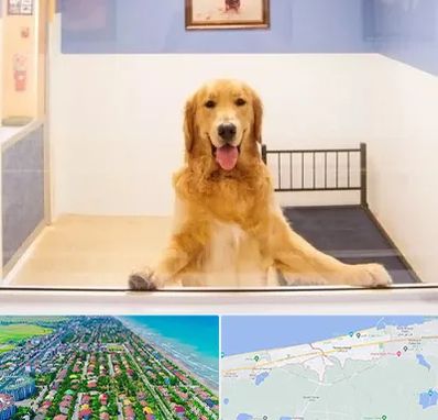 پانسیون حیوان خانگی در فریدونکنار