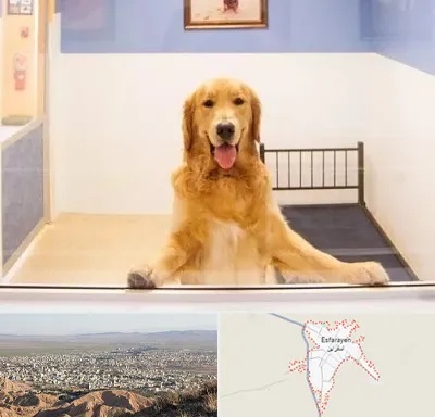پانسیون حیوان خانگی در اسفراین