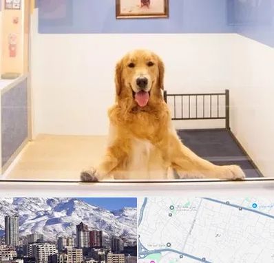 پانسیون حیوان خانگی در ازگل