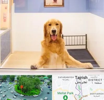 پانسیون حیوان خانگی در تجریش 