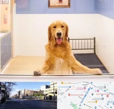 پانسیون حیوان خانگی در خیابان ملاصدرا شیراز