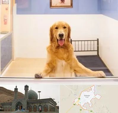 پانسیون حیوان خانگی در شهرضا