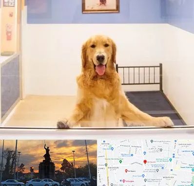 پانسیون حیوان خانگی در میدان حر 