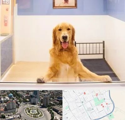 پانسیون حیوان خانگی در زرافشان اسلامشهر