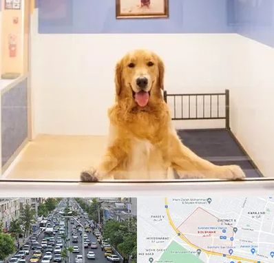 پانسیون حیوان خانگی در گلشهر کرج