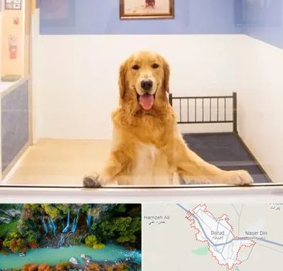 پانسیون حیوان خانگی در دورود