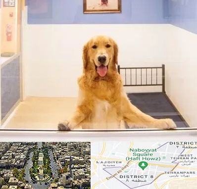 پانسیون حیوان خانگی در نارمک 