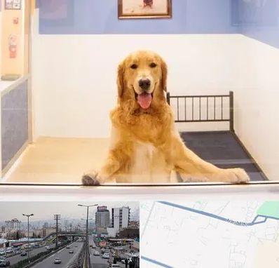 پانسیون حیوان خانگی در بلوار ارتش