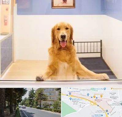 پانسیون حیوان خانگی در مهرویلا کرج