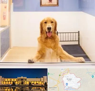 پانسیون حیوان خانگی در برازجان