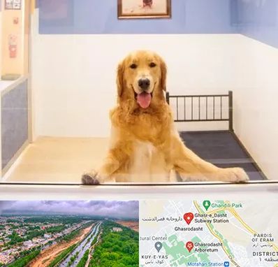 پانسیون حیوان خانگی در قصرالدشت شیراز