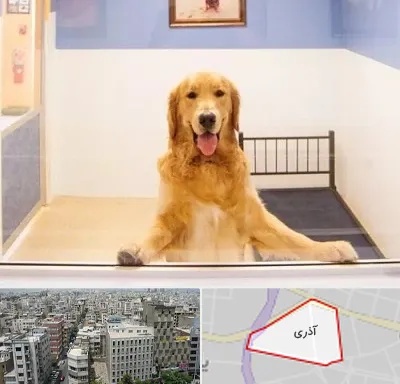 پانسیون حیوان خانگی در آذری