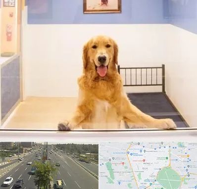 پانسیون حیوان خانگی در منطقه 17 تهران 