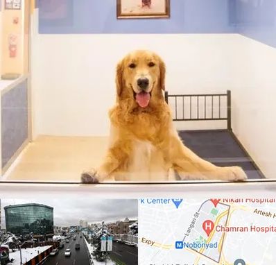 پانسیون حیوان خانگی در اقدسیه 