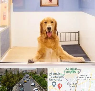 پانسیون حیوان خانگی در شهران 