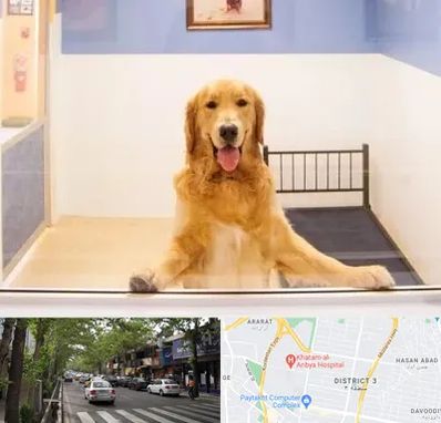 پانسیون حیوان خانگی در ظفر 