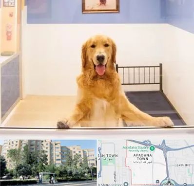 پانسیون حیوان خانگی در آپادانا