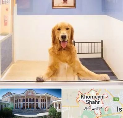 پانسیون حیوان خانگی در خمینی شهر