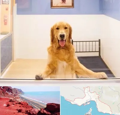 پانسیون حیوان خانگی در هرمزگان