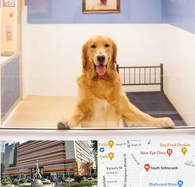 پانسیون حیوان خانگی در سهروردی 