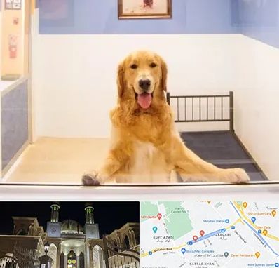 پانسیون حیوان خانگی در زرگری شیراز