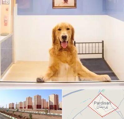 پانسیون حیوان خانگی در پردیسان قم